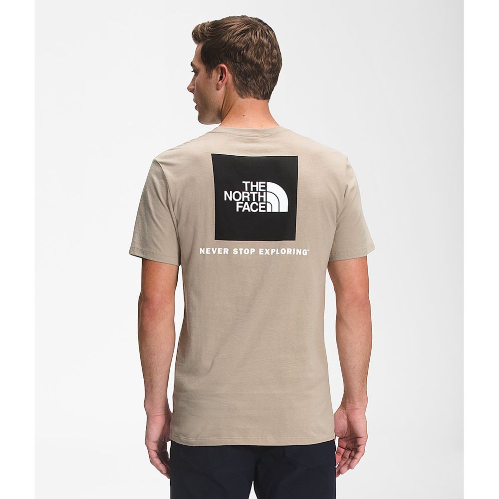 The North Face T-Shirts Mens Australia - The North Face Short Sleeve Box Nse Khaki / Black Never Sto